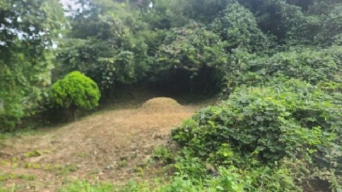 전북 군산시 나포면 임야 경매 물건 사진