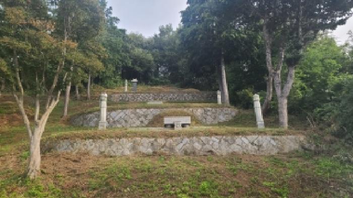 전북 군산시 나포면 임야 경매 물건 사진 2 · 2025타경21262