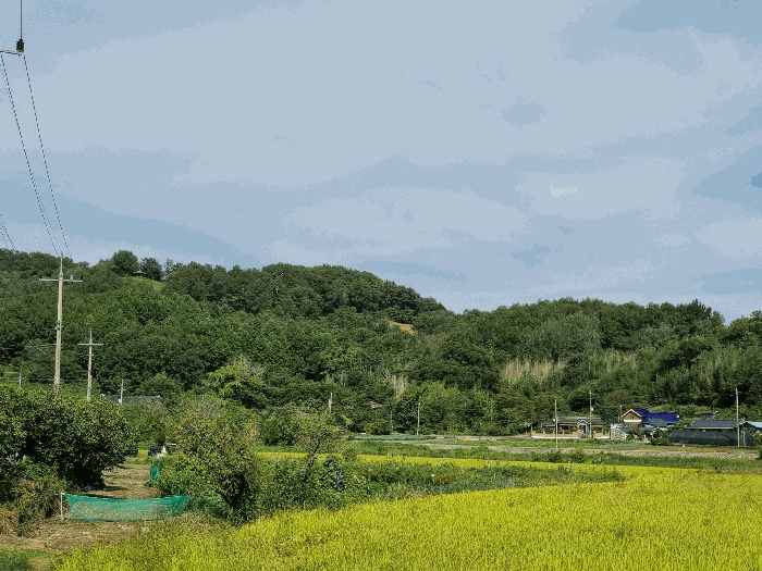 전북 군산시 개정면 임야 경매 물건 사진 6 · 2025타경21326