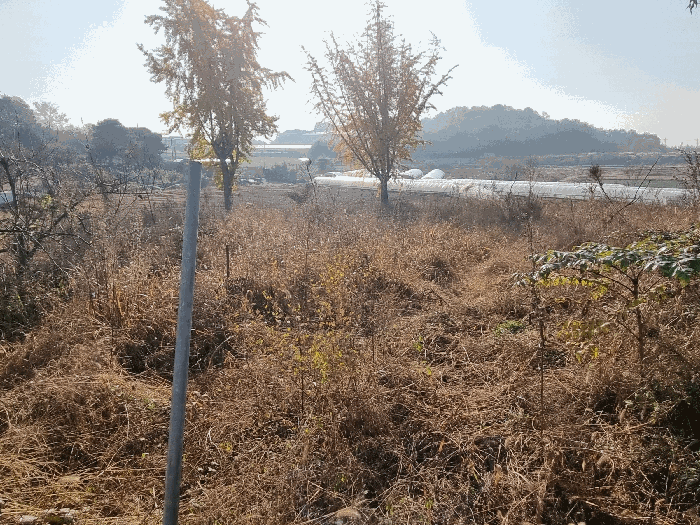 전북 익산시 왕궁면 묘지 경매 물건 사진 6 · 2025타경21526