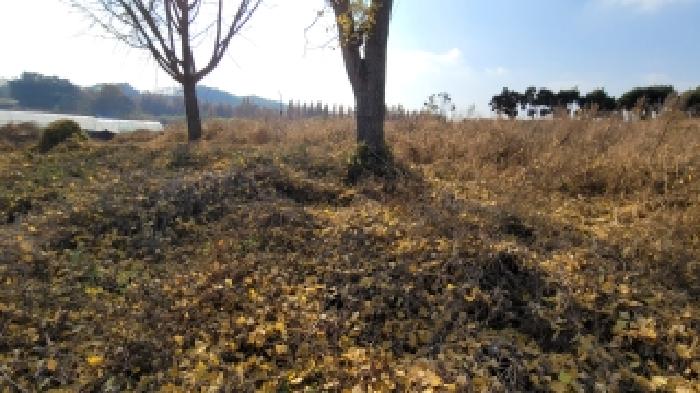 전북 익산시 왕궁면 묘지 경매 물건 사진