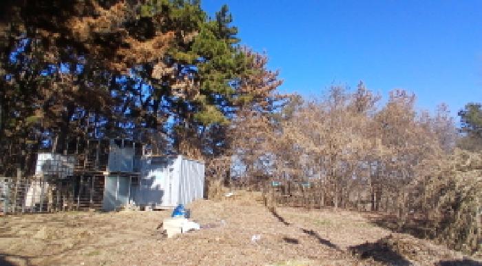 전북 익산시 함라면 임야 경매 물건 사진 3 · 2025타경21702
