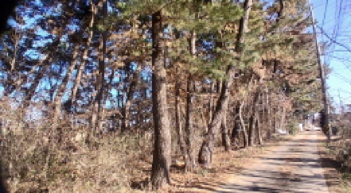 전북 익산시 함라면 임야 경매 물건 사진 4 · 2025타경21702