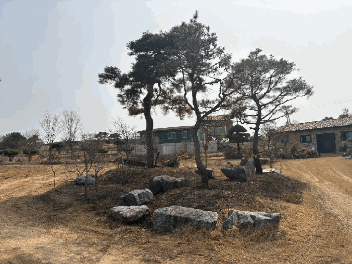 전북 익산시 망성면 답 경매 물건 사진 5 · 2025타경311