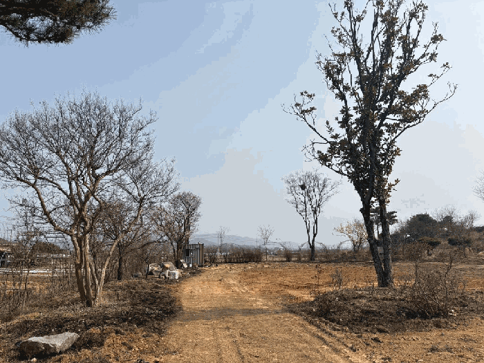 전북 익산시 망성면 답 경매 물건 사진 6 · 2025타경311