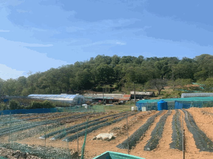 전북특별자치도 군산시 미룡동 484-2 창고시설 경매 물건 사진