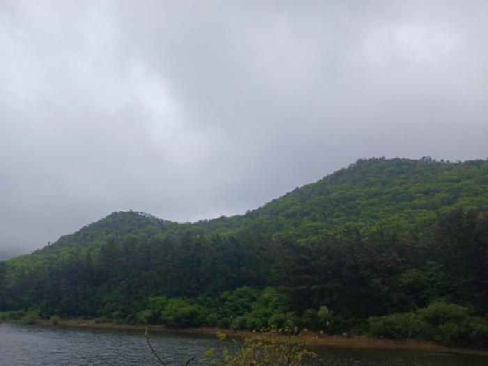 전북 군산시 옥도면 임야 경매 물건 사진
