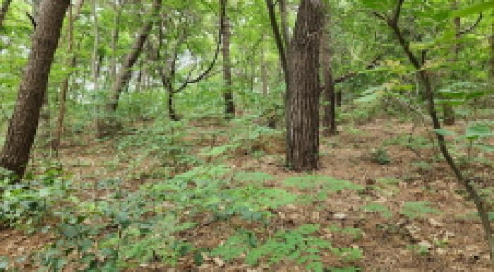전북 군산시 개정면 답 경매 물건 사진 5 · 2025타경421