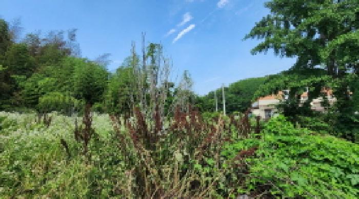 전북 군산시 성산면 임야 경매 물건 사진 5 · 2025타경432