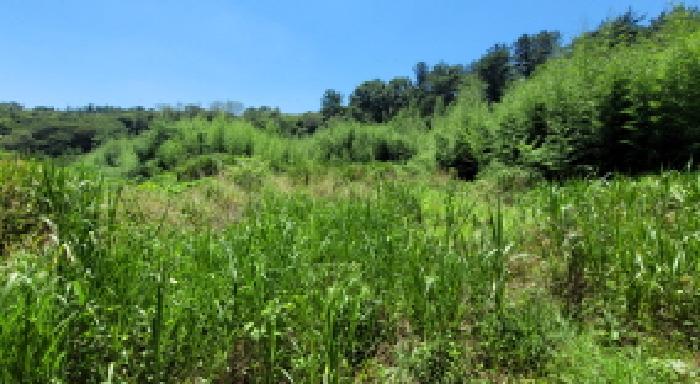 전북 익산시 함라면 임야 경매 물건 사진 3 · 2025타경479