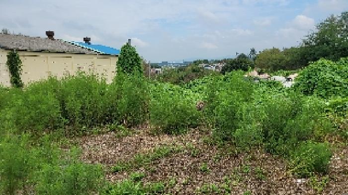 전북 익산시 함열읍 대지 경매 물건 사진 2 · 2025타경529