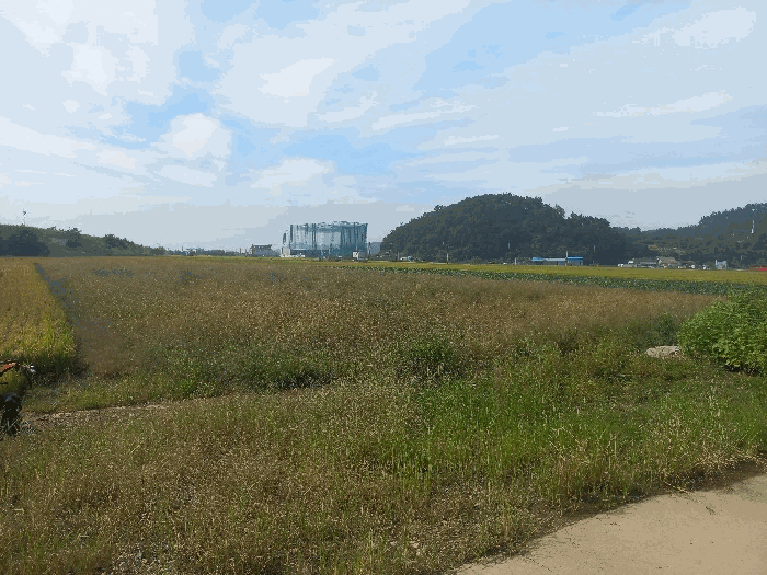 전북 군산시 옥산면 전답 경매 물건 사진 3 · 2025타경558