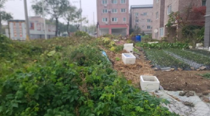 전북 군산시 오식도동 대지 경매 물건 사진