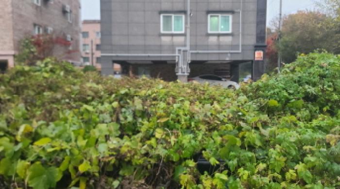 전북 군산시 오식도동 대지 경매 물건 사진 3 · 2025타경596