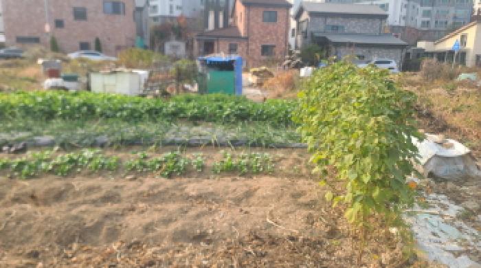 전북 군산시 미장동 대지 경매 물건 사진