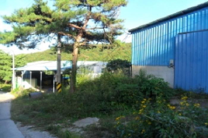 전북 정읍시 산내면 동물및식물관련시설 경매 물건 사진 5 · 2024타경1652