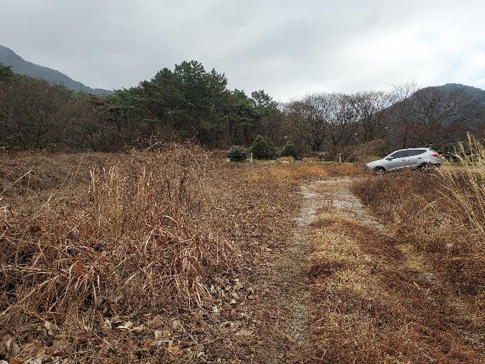 전북 고창군 대산면 전 경매 물건 사진