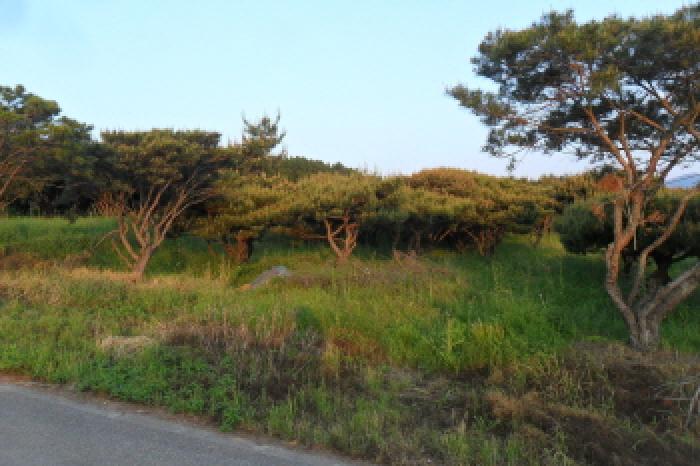 전북 고창군 신림면 전 경매 물건 사진 4 · 2025타경201