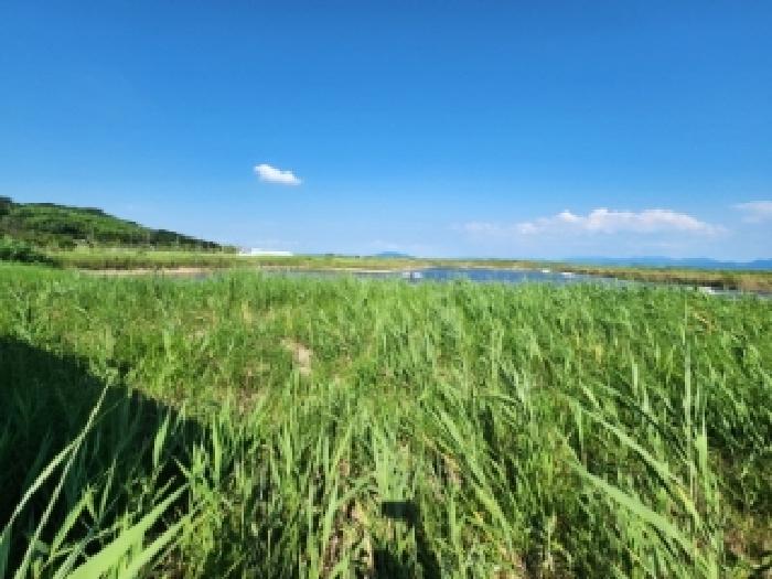전북 부안군 진서면 양어장 경매 물건 사진 4 · 2025타경254