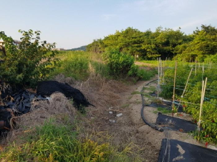 전북 부안군 변산면 전 경매 물건 사진