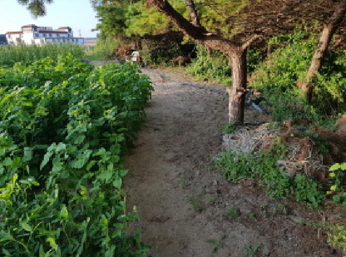 전북 부안군 변산면 전 경매 물건 사진 3 · 2025타경293