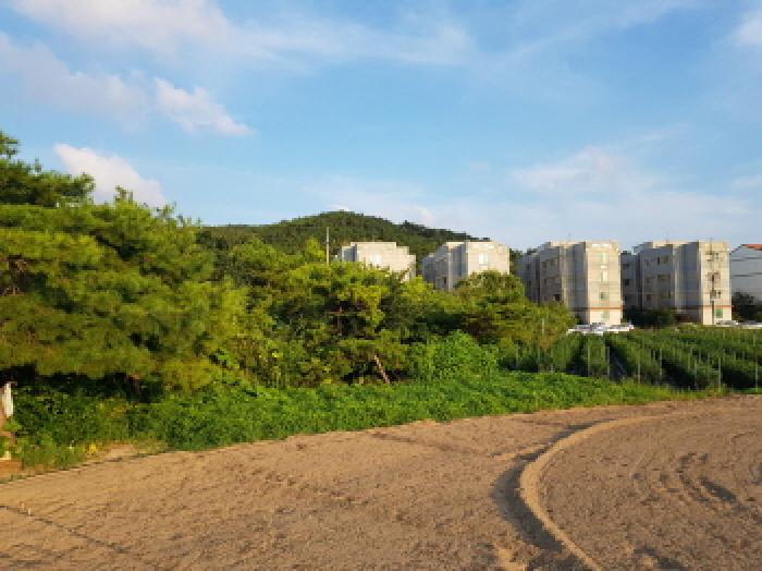 전북 부안군 변산면 전 경매 물건 사진 5 · 2025타경293