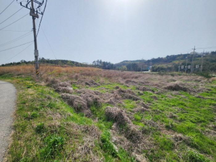 전북 부안군 변산면 임야 경매 물건 사진