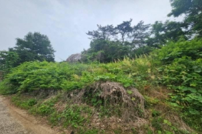 전북 정읍시 산외면 답 경매 물건 사진 3 · 2025타경30230