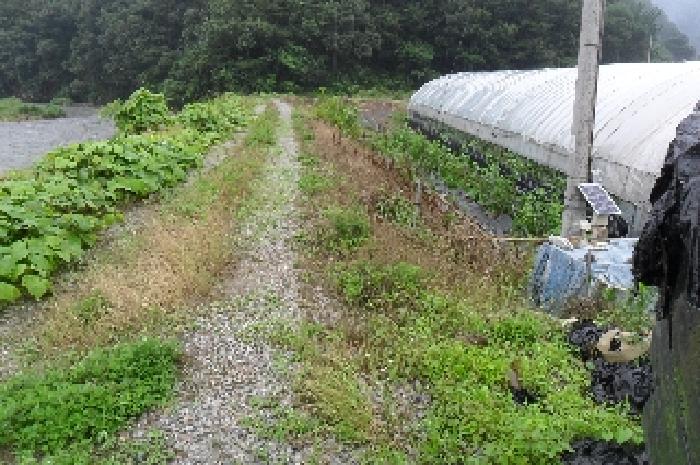 전북 정읍시 산내면 전 경매 물건 사진 5 · 2025타경30264