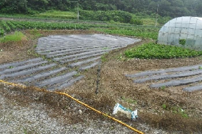 전북 정읍시 산내면 전 경매 물건 사진 6 · 2025타경30264