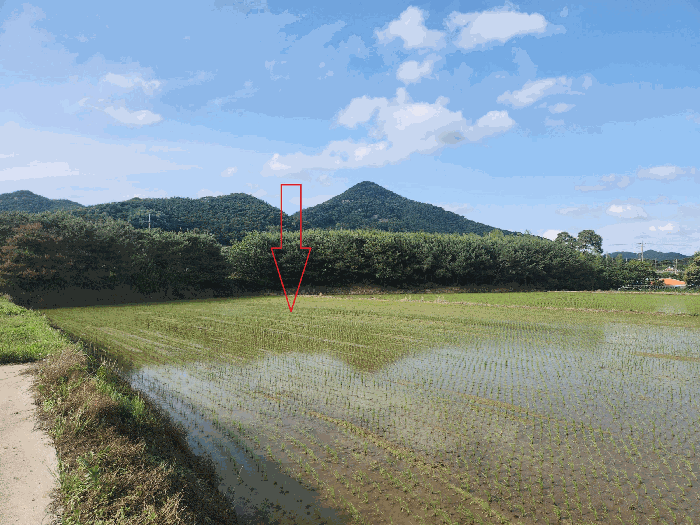 전북특별자치도 부안군 진서면 진서리 362 전 경매 물건 사진