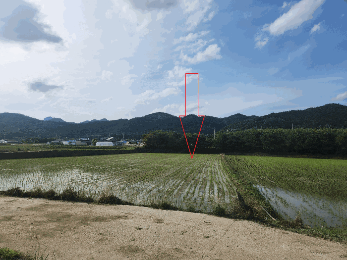 전북 부안군 진서면 전 경매 물건 사진 4 · 2025타경30291