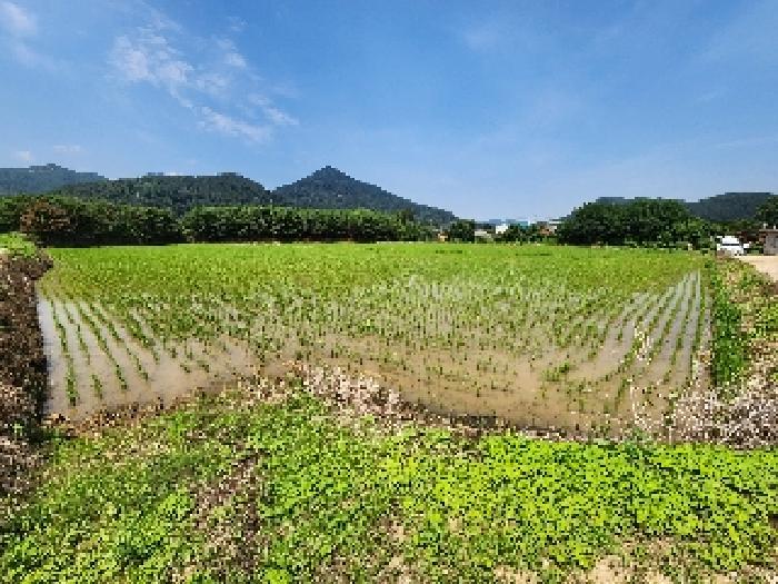 전북 부안군 진서면 전 경매 물건 사진