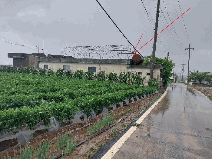 전북특별자치도 고창군 상하면 장호리 817 전 경매 물건 사진