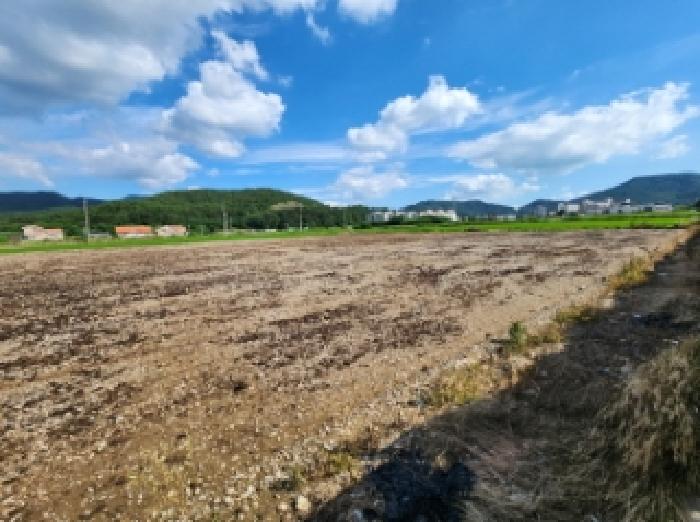 전북 부안군 변산면 답 경매 물건 사진 3 · 2025타경30325