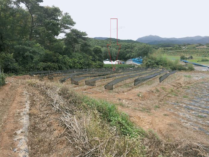 전북 정읍시 농소동 답 경매 물건 사진