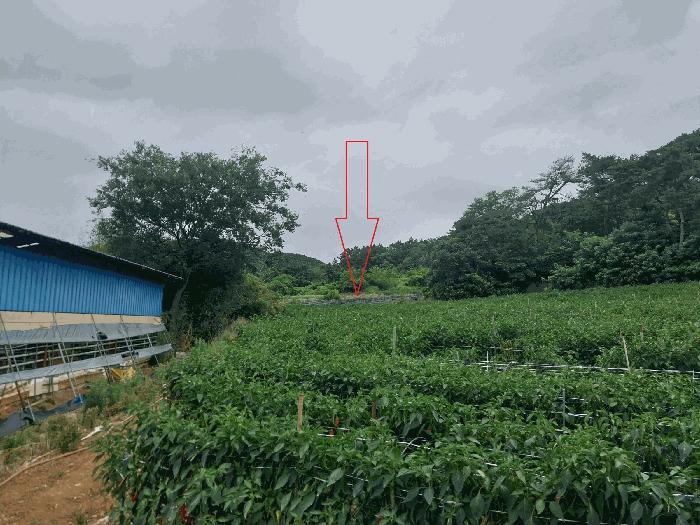 전북 정읍시 농소동 답 경매 물건 사진 4 · 2025타경30330