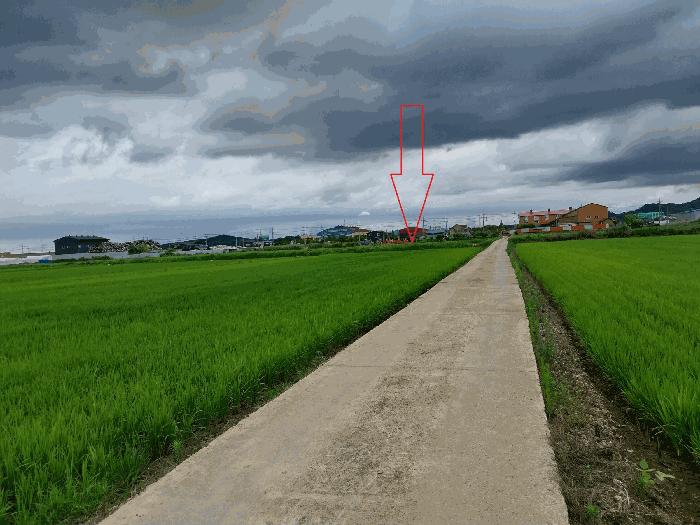 전북 정읍시 농소동 답 경매 물건 사진 6 · 2025타경30330