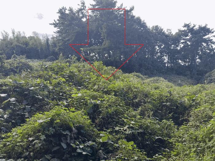 전북 정읍시 소성면 전 경매 물건 사진 6 · 2025타경30447