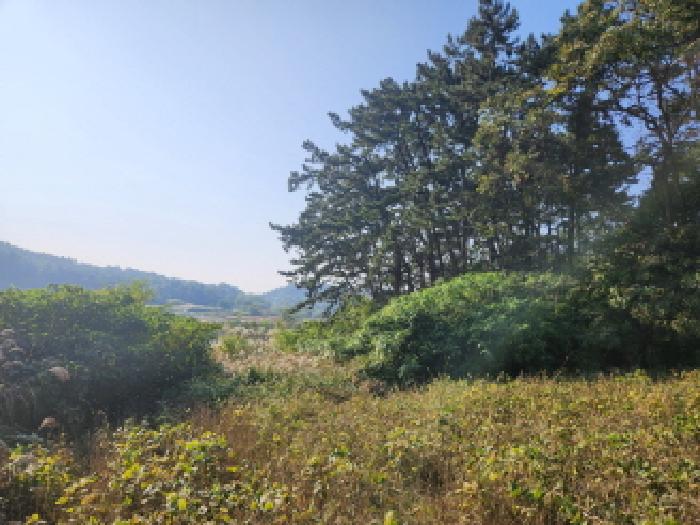 전북 부안군 계화면 전 경매 물건 사진