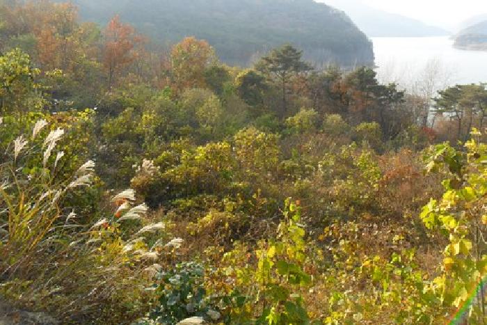 전북 정읍시 산내면 임야 경매 물건 사진
