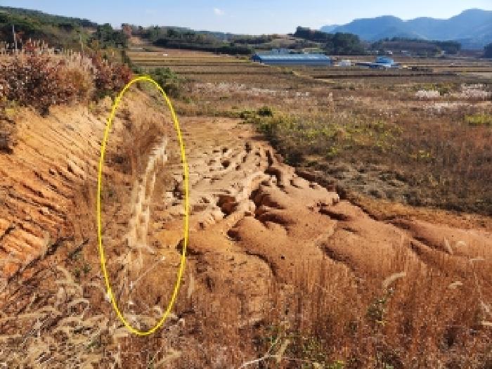 전북 부안군 하서면 전 경매 물건 사진 3 · 2025타경30486