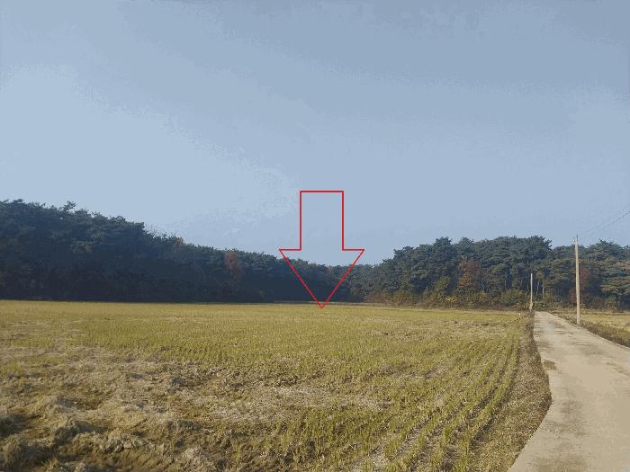 전북 부안군 동진면 답 경매 물건 사진 2 · 2025타경30507