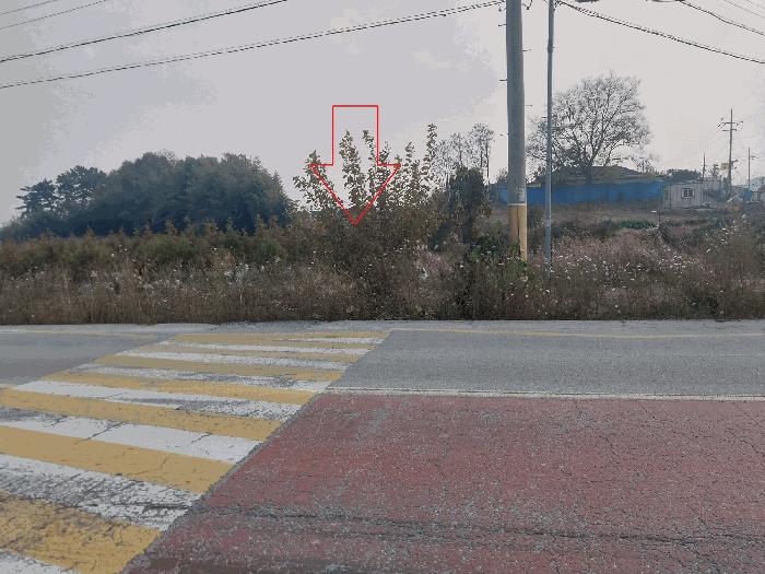 전북 부안군 동진면 답 경매 물건 사진 6 · 2025타경30507