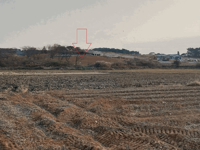 전북 부안군 하서면 전 경매 물건 사진 6 · 2025타경30527