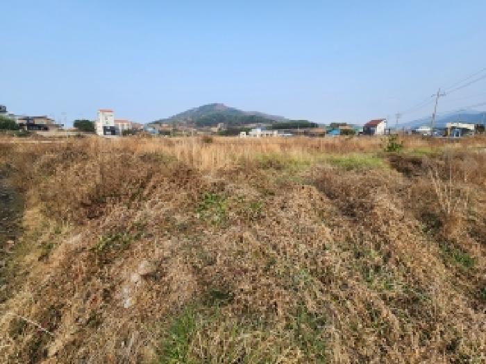 전북 부안군 변산면 답 경매 물건 사진