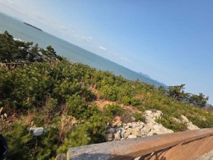 전북 부안군 변산면 도로 경매 물건 사진