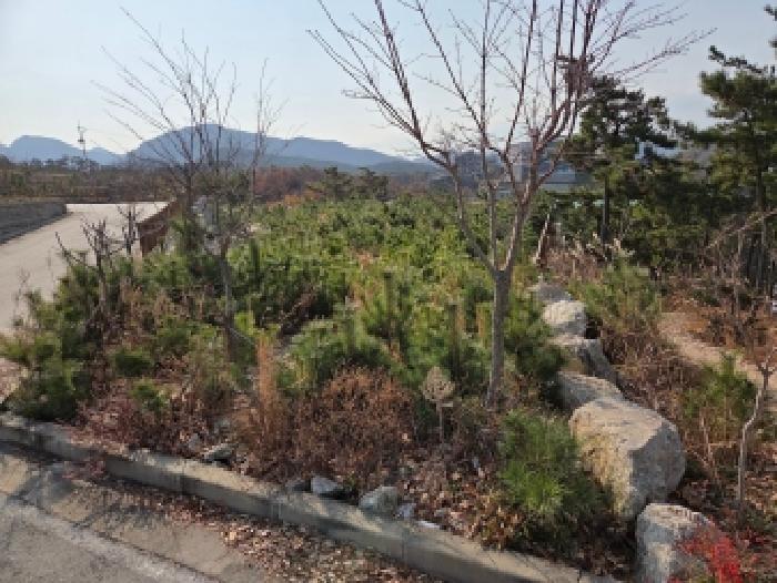 전북 부안군 변산면 도로 경매 물건 사진 2 · 2025타경30532