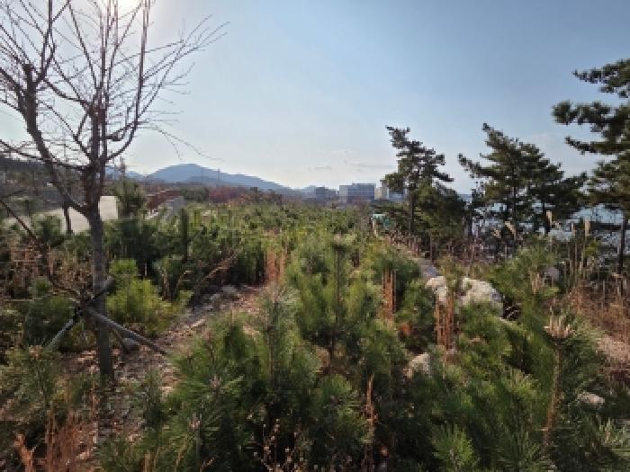 전북 부안군 변산면 도로 경매 물건 사진 3 · 2025타경30532