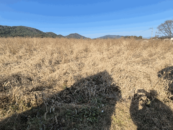 전북특별자치도 고창군 부안면 상등리 235-20 임야 경매 물건 사진
